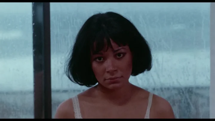 A Woman’s Torment (1977)  (FullHDRip)