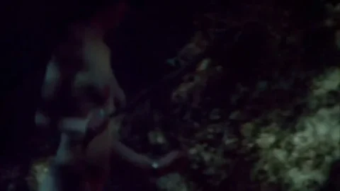 Boogievision (1977)
