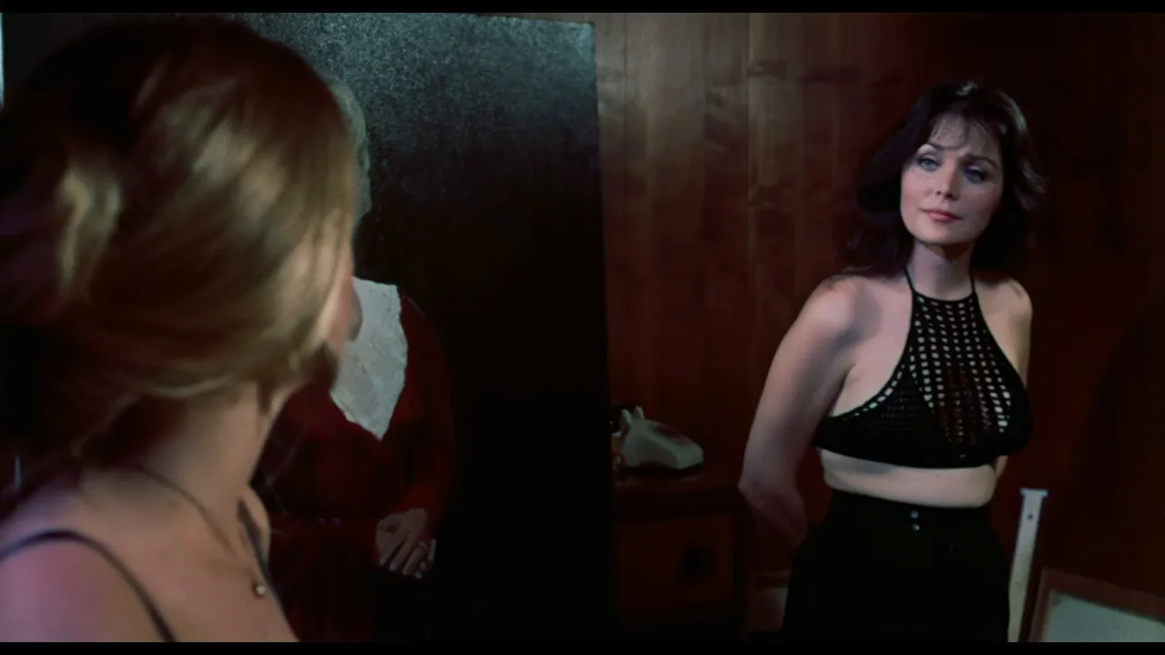 Pets (1973)  (FullHDRip)
