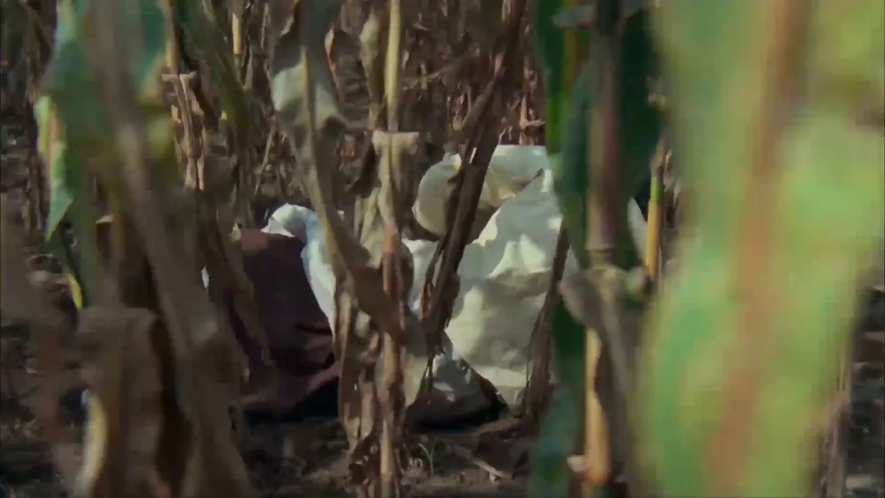 Mountain Strawberries 2 (1985)