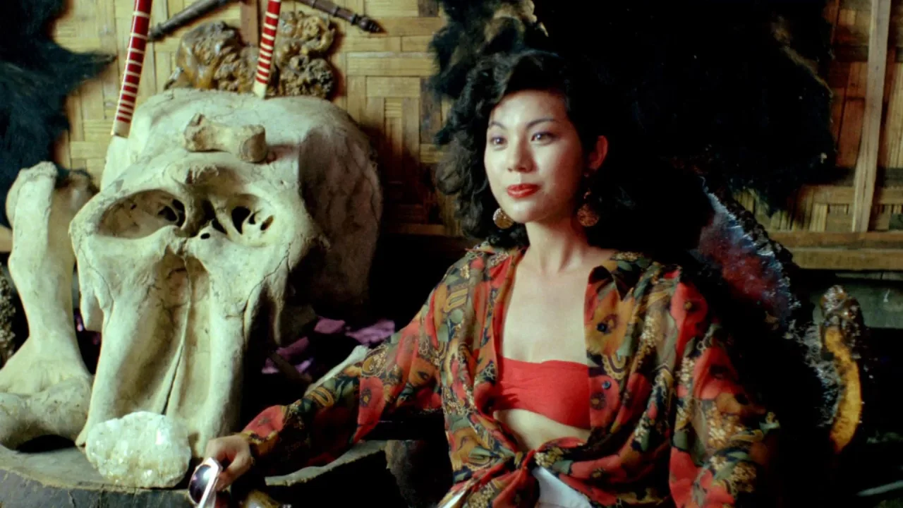 Moh soen gip (1991)