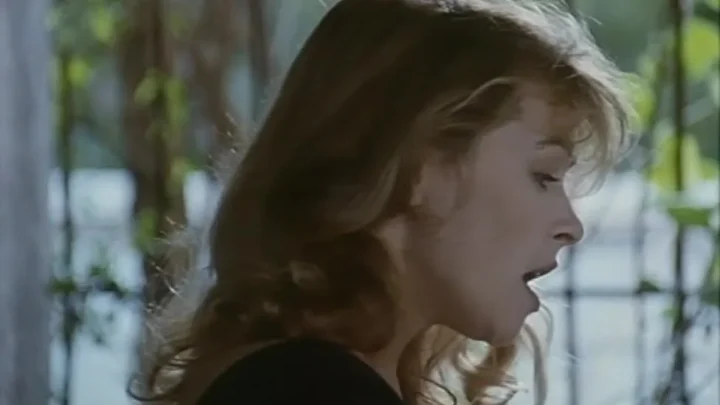 La villa del venerdì (1991)