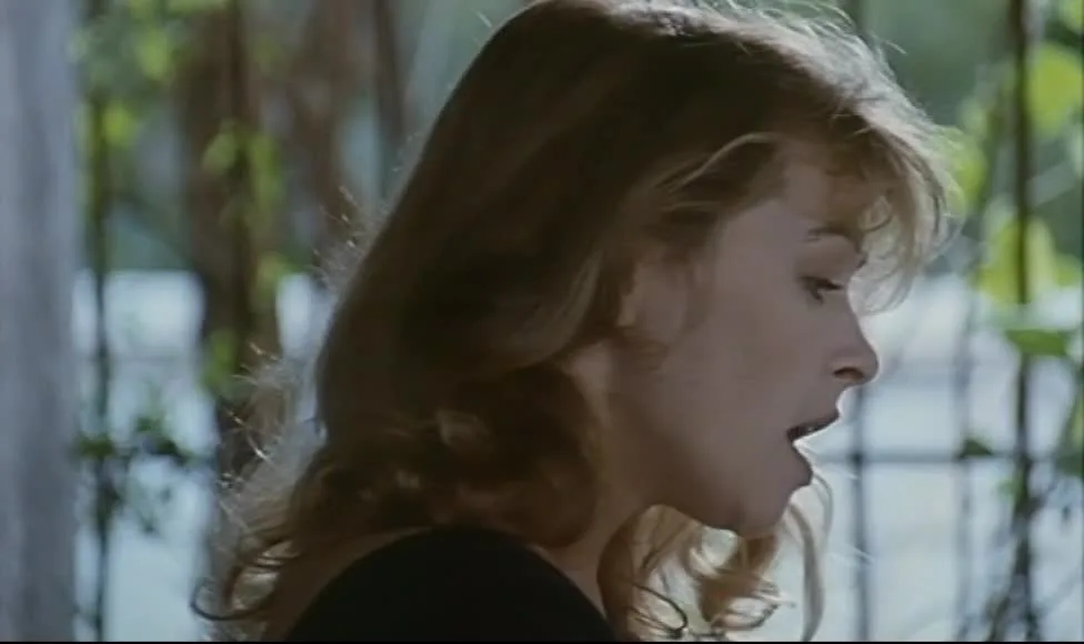 La villa del venerdì (1991)