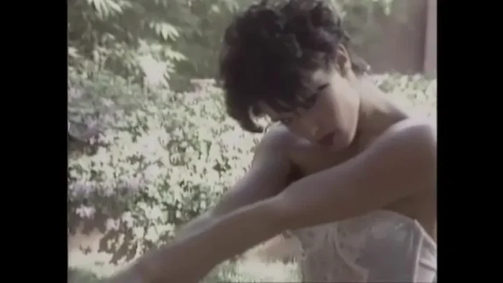 Lingerie Dreams 2 (1994)