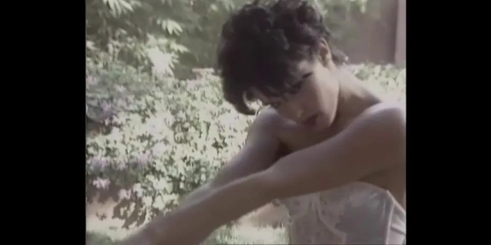 Lingerie Dreams 2 (1994)