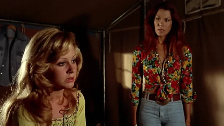 La noche de los brujos (1974) (FullHDRip)