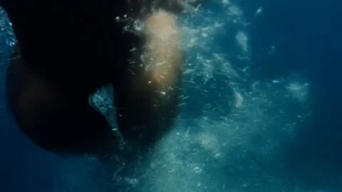 Ein Sommer voller Zärtlichkeit (1971)