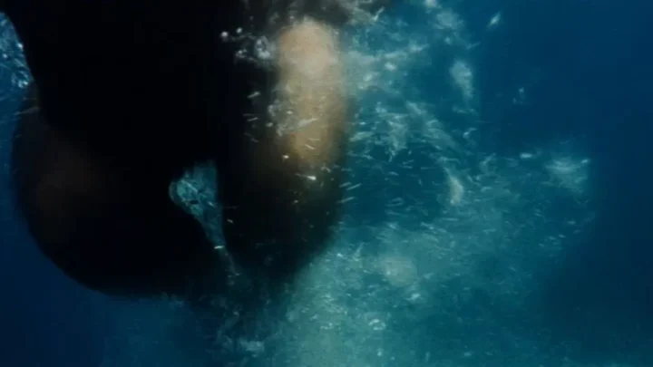 Ein Sommer voller Zärtlichkeit (1971)