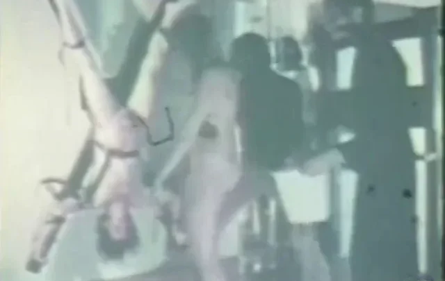 Bizarro Sex Loops 39 (1950-70’s)