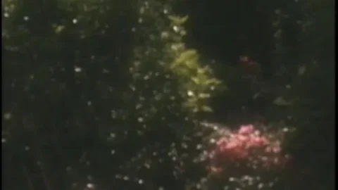 Supermodel Invasion (1996)