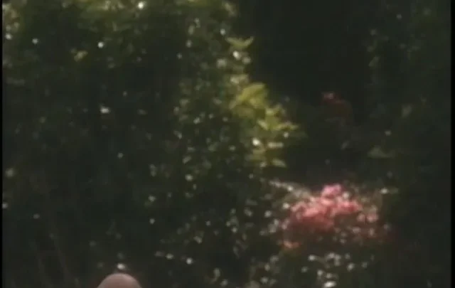 Supermodel Invasion (1996)