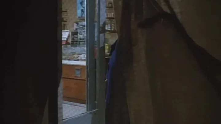 Lady of the Night (1986)