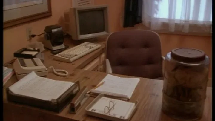 Possessed By the Night (1994)