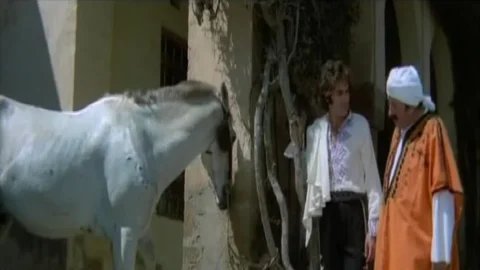 Le amorose notti di Ali Baba (1973)