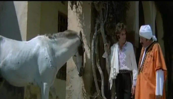 Le amorose notti di Ali Baba (1973)