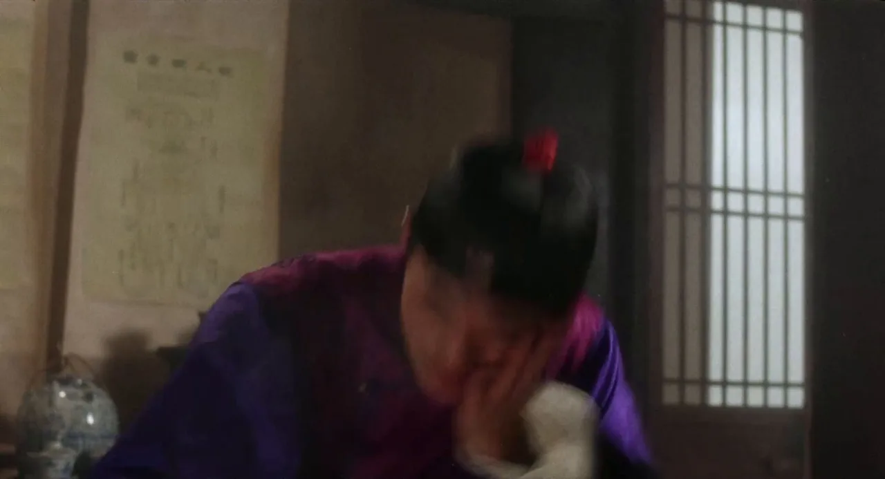 Moon ching sap dai huk ying (1994)
