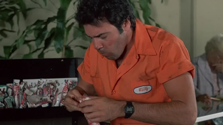 Bachelor Party (1984)