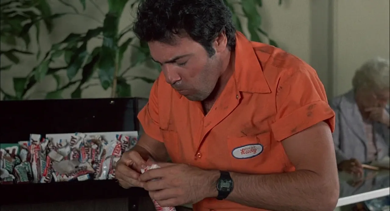 Bachelor Party (1984)