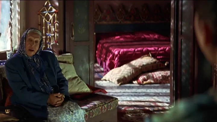 La pasión turca (1994)