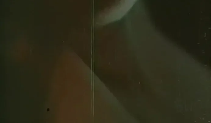 Sex and the Lonely Woman (1972)