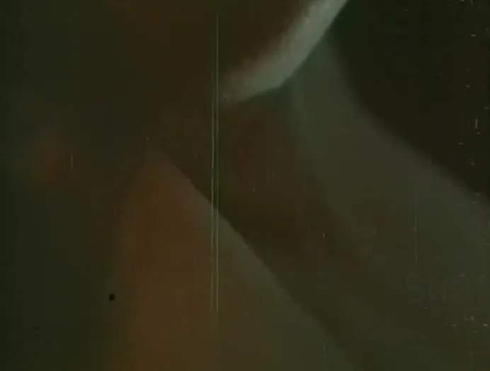 Sex and the Lonely Woman (1972)