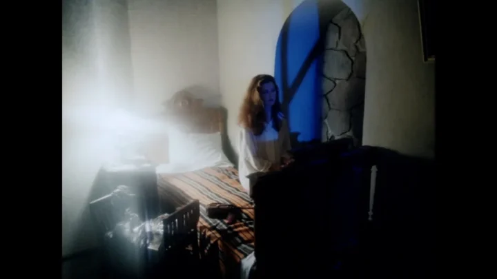 Zirneklis (1992)