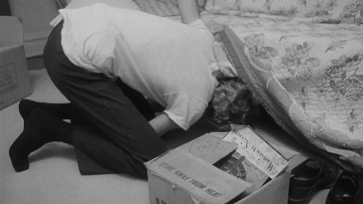 Indecent Desires (1968) (FullHDRip)