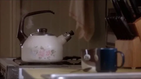 Boxing Helena (1993)