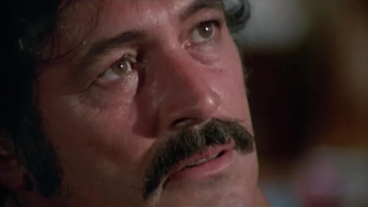 Pretty Maids All in a Row (BDRip) (1971)