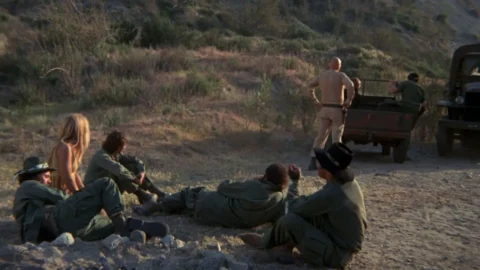 Brute Corps (1971)