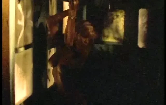 Playboy: The Ultimate Pamela Anderson 2 (2003)