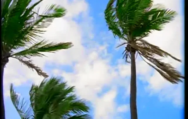 Playboy: The Girls of Hawaiian Tropic, Naked In Paradise (1995)