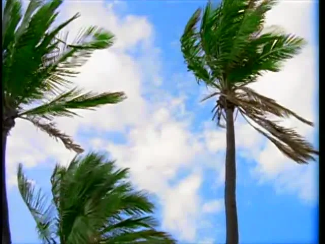 Playboy: The Girls of Hawaiian Tropic, Naked In Paradise (1995)