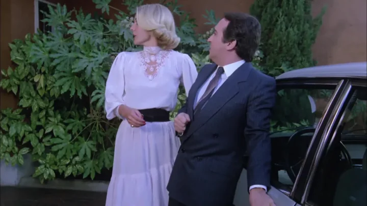 Caray con el divorcio (1982)