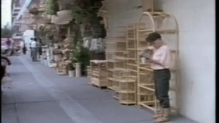 Mujeres de media noche (1990)
