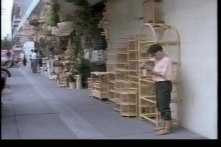 Mujeres de media noche (1990)