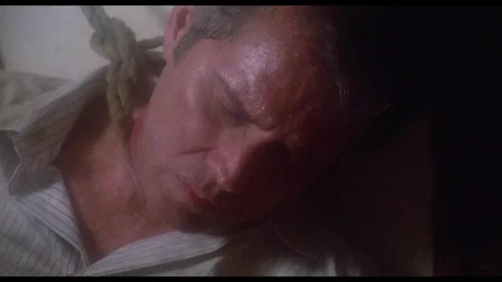 The Devils Honey (1986)