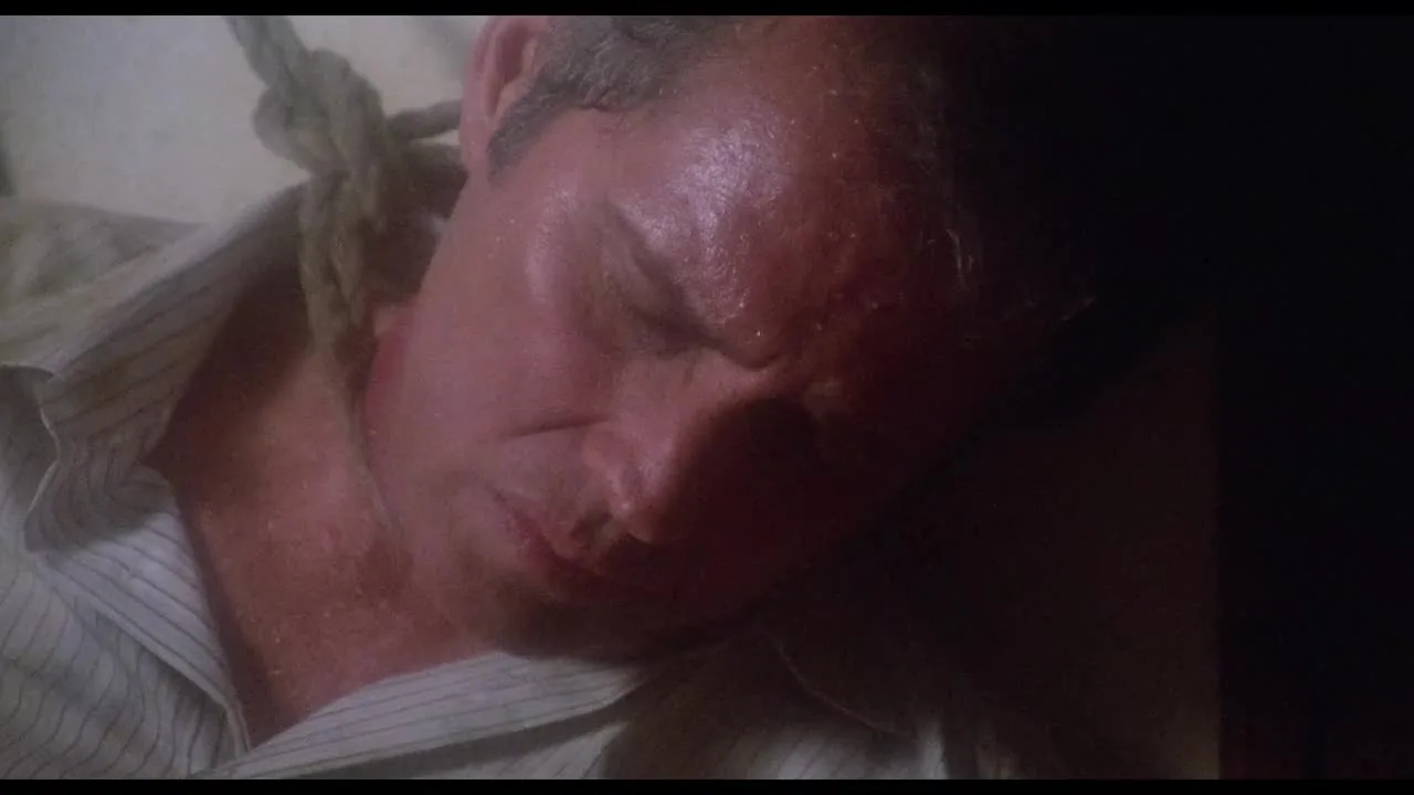 The Devils Honey (1986)