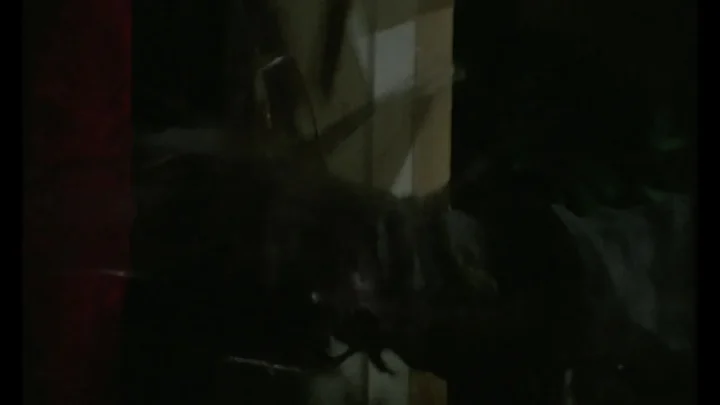 Le notti del terrore (1981)