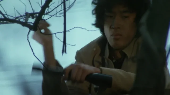 Mottomo kiken na yuugi (1978)