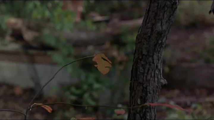 Sleepaway Camp II: Unhappy Campers (1988)