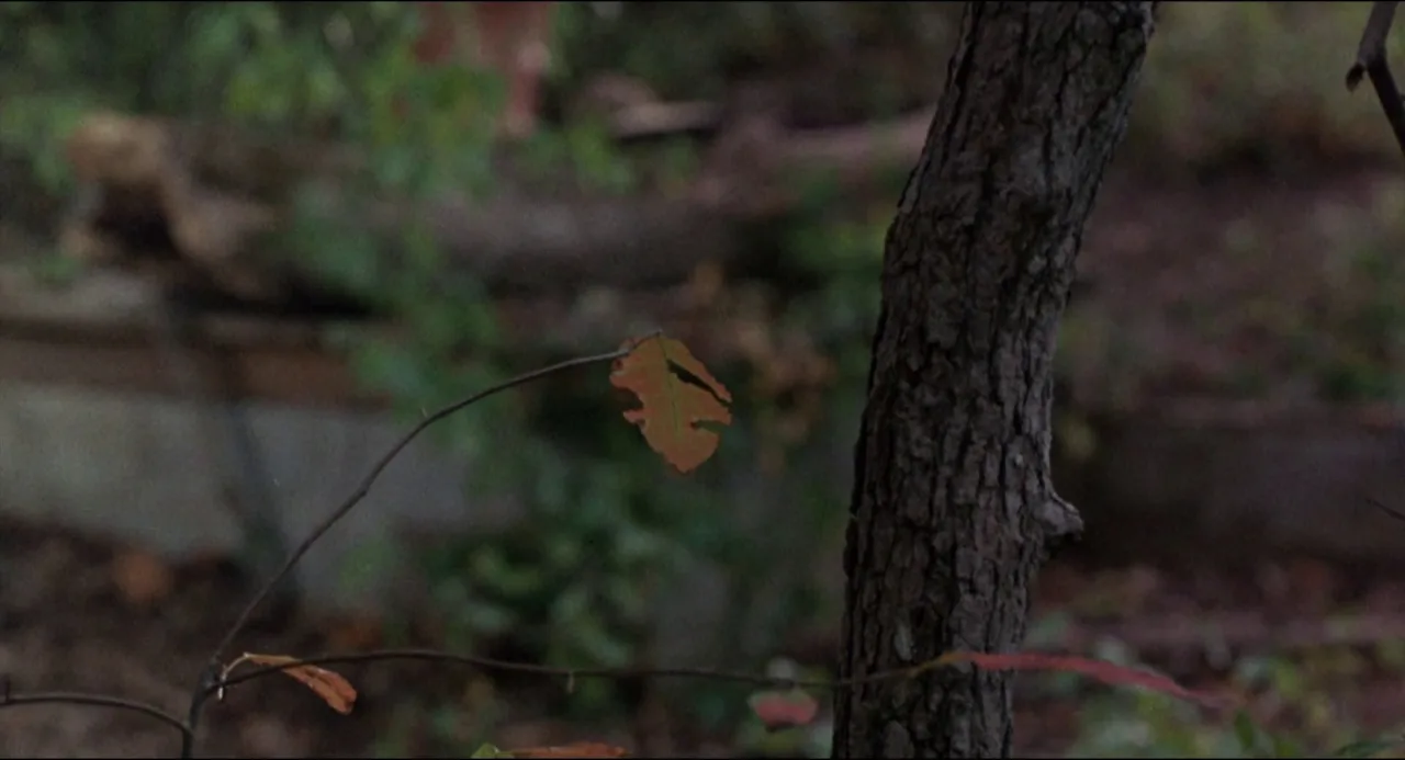 Sleepaway Camp II: Unhappy Campers (1988)