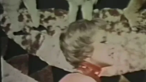 Bizarro Sex Loops 02 (1950’s)