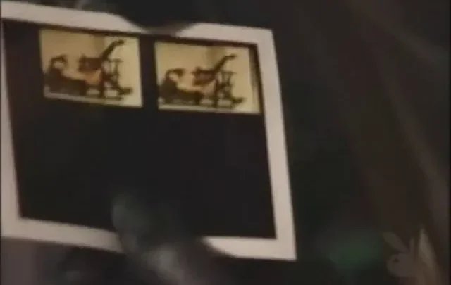 Playboy’s Sexy Girls Next Door 16: Take a Peek (2000’s)