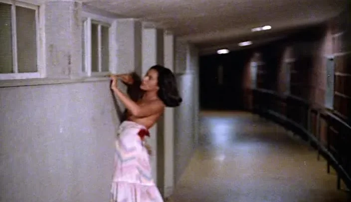 Lúcio Flávio, o Passageiro da Agonia (1977)