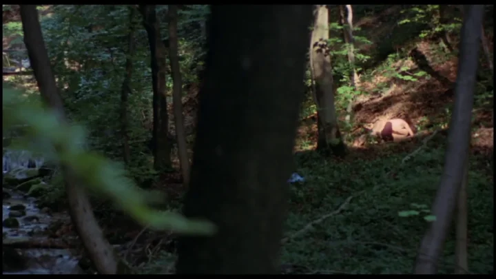 Blutjunge Verfuhrerinnen (1971) (BDRip)