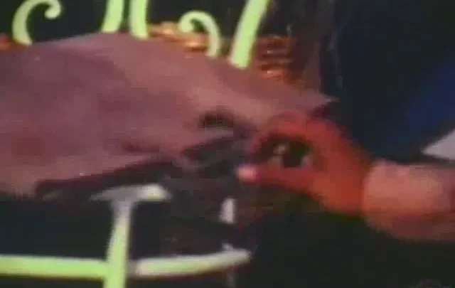 Bizarro Sex Loops 25 (1970’s)