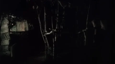 Virgin People (1984)