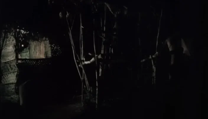 Virgin People (1984)