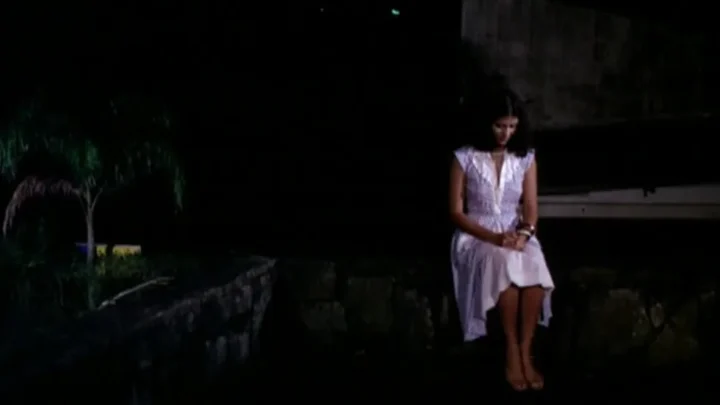 Brisas do Amor (1982)